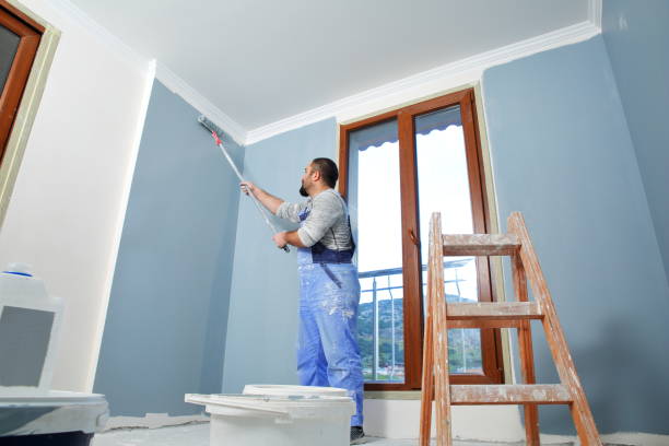 Best Repainting for Renovations  in Glespie, IL