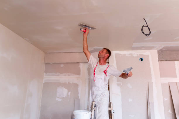 Gillespie, IL Drywall and Painting Service Company